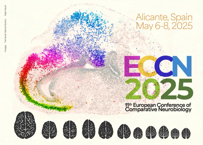 www.eccn2025.umh.es