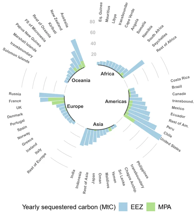 50-year carbon sequestration rate within countries’ EEZ and MPAs, 
grouped by continent