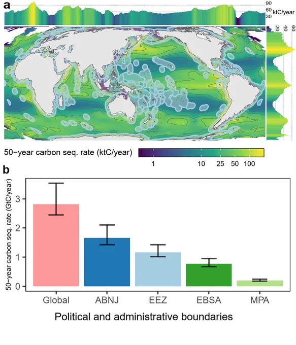 Spatial and geopolitical distribution of BCP carbon sequestration