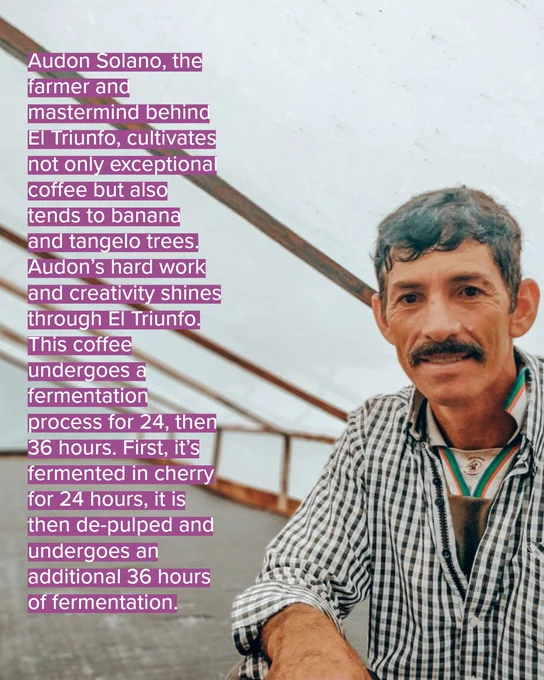 Image of Colombia El Triunfo coffee story.