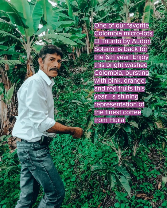 Image of Colombia El Triunfo coffee story.