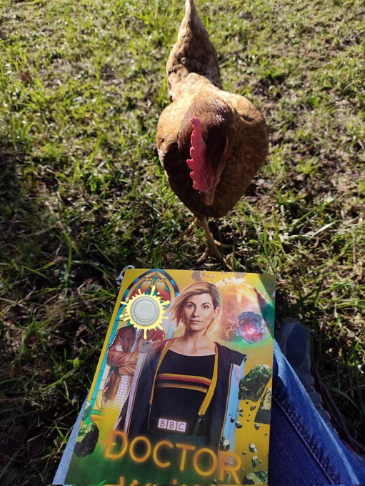 photo of a ginger hen chicken looking at my thirteenth doctor novel. there's also a sticker of an exploding pie on graham's face for personal reasons  