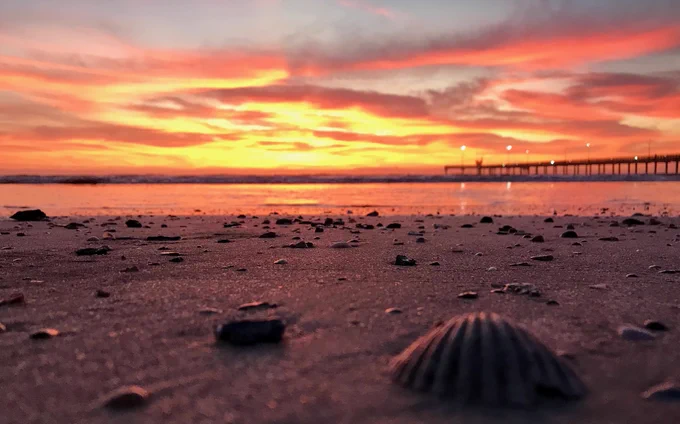 Caption: Sunrise paints the sky over Mission-Aransas National Estuarine Research Reserve. Credit: Jace Tunnell.