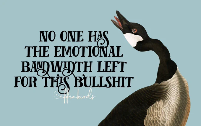 A painting of a bird beside the text "no one has the emotional bandwidth left for this bullshit"