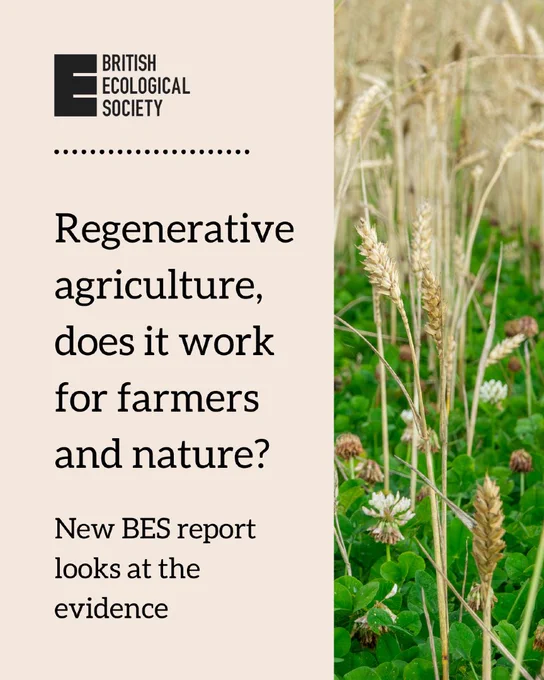 An image of a wheat field is to the right. On the left, against a beige backdrop, the text says, 'Regenerative agriculture,
does it work for farmers and nature? New BES report looks at the evidence' 