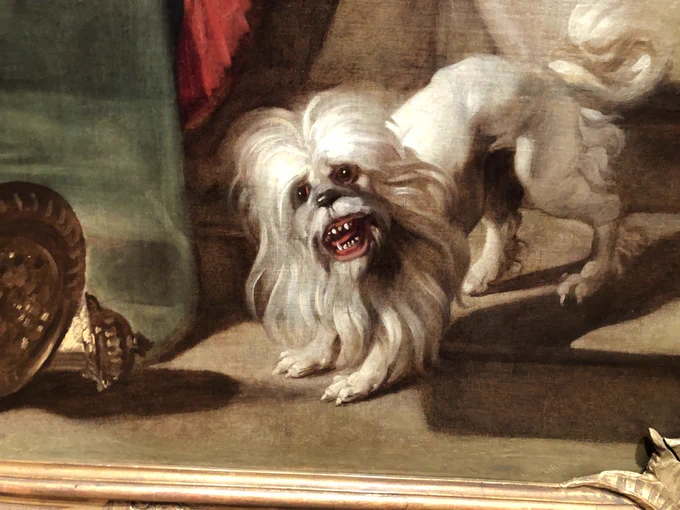Closeup of the absolutely terrifying dog that looks like it's head was taken from the costume discards from Planet of the Apes