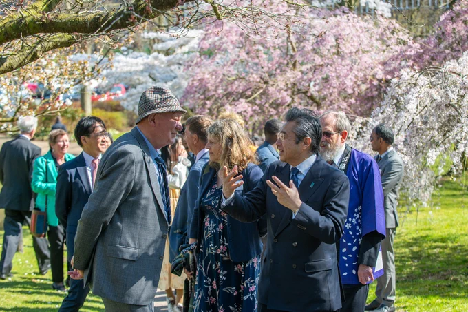 Two men are talking in front of a cherry blossom tree with pink flowers, with a group of people following behind them.