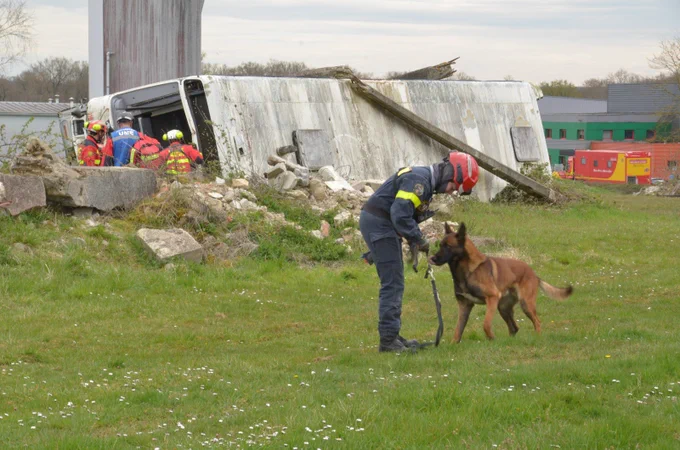 Un chien et son maître chien des unités militaires de la Sécurité civile