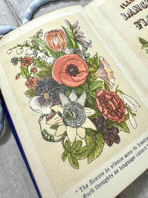 A pretty illustration of a spring bouquet with poppies, tulips, snowdrops and other blooms. 