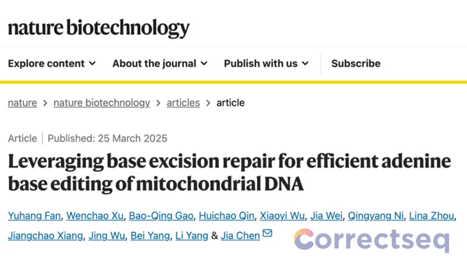 Leveraging base excision repair for efficient adenine base editing of mitochondrial DNA