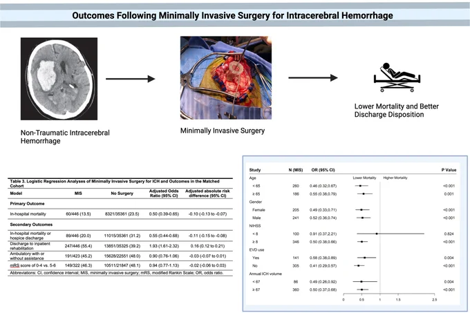 Graphic abstract in Murthy and Zhang et al.