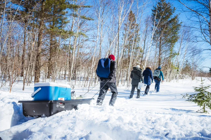 A group of three undergraduate researchers and Alden Adolph, assistant professor, walk in the snow in line with the last person pulling a sled with equipment.
