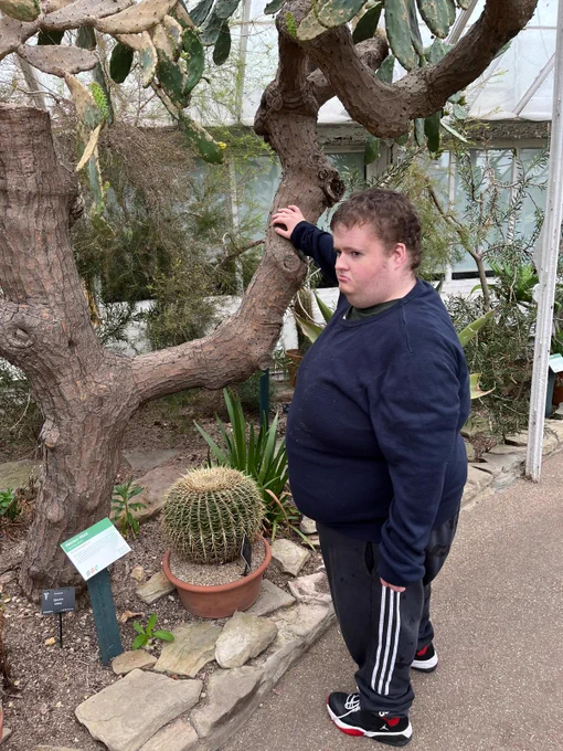 A man wearing a blue jumper and back tracksuit bottoms reaches an arm out to touch the bark of a tree. the tree is surrounded by other plants including spikey cacti. 
