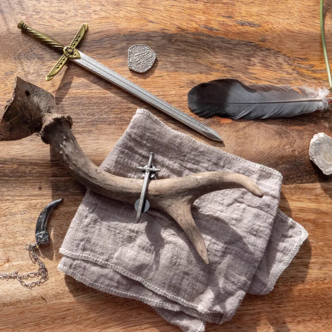 A photo of the Tamora Pierce: Lightning Pin arranged on a table with the Lightning Mini Sword, the Badger Claw Necklace, and assorted objects such as a black feather and a deer antler.