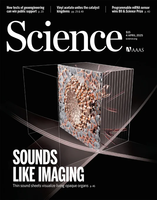 A cross-propagating ultrasound wave exposes a thin tissue section that contains blood vessels feeding a tumor. The wave interacts with sound-scattering probes (displayed in orange gold) that are genetically expressed in cancer cells or are injected in the bloodstream to reveal capillary vessels. White contour lines indicate previously scanned tissue sections and the total volume explored by this sound-sheet microscopy technique.