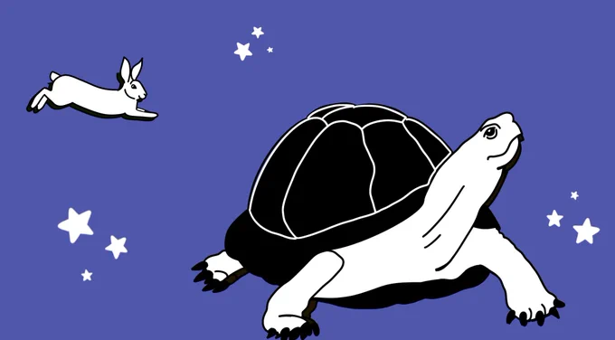 Turtle winning the race against the hare, in space!