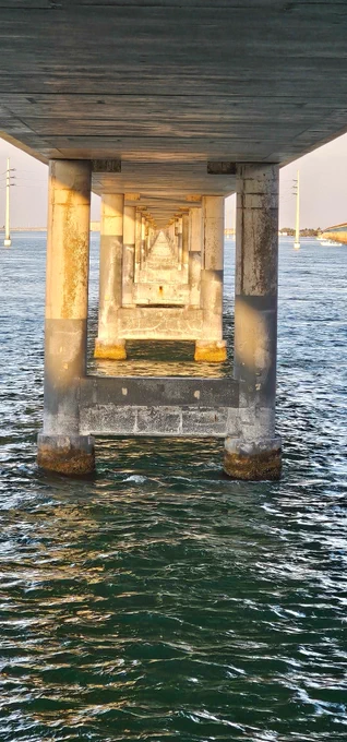 When concrete dreams in gold... ✨

There's this wild moment under the Seven Mile Bridge where industrial meets ethereal.

Parallel lines chase each other into infinity...
Shadows play tag with sunbeams...
And the Keys water beneath? It's painting abstract masterpieces in sparkles and foam.

You ever notice how the most stunning art gallery in the Florida Keys isn't in any building?

It's right here.

In this concrete cathedral.
Where geometry meets grace.
Where man-made meets mother nature.
Where solid meets liquid.

And somehow...
Some magical damn how...
It all dances together in perfect harmony.

Just look at how that morning light spills through like honey.
Creating this surreal tunnel of gold and shadow.
Leading your eye straight into that perfect slice of horizon.

They say art is about perspective.

Well, standing here, looking up at 7 miles of engineering turned accidental masterpiece...

I'd say they might be onto something.

#FloridaKeys #LightAndShadow #AbstractReality #Keys