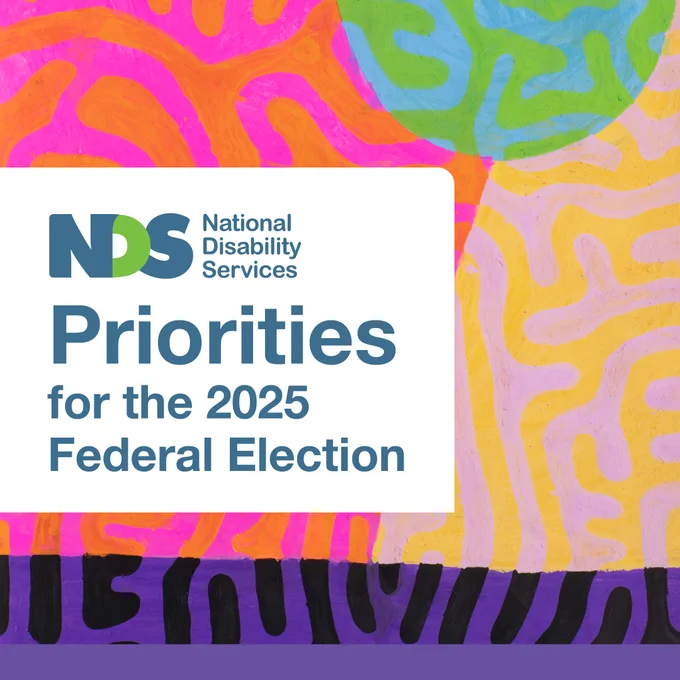 Organic lines with colour combinations of pink and orange, blue and green, yellow and pink, and purple and black. White square on left-hand side has NDS logo and blue text reading Priorities for the 2025 Federal Election.