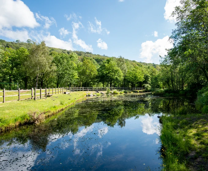 Come and join us at Dare Valley Country Park, for our litter pick on Sunday 19th May. Meet in the courtyard at 11am, bags and litter pickers provided. Refreshments after. All welcome.