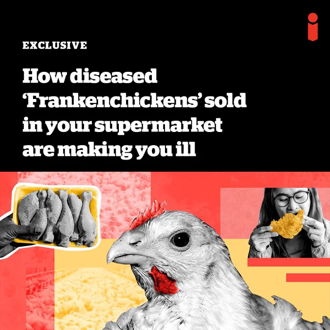 Text reads: EXCLUSIVE How diseased 'Frankenchickens' sold in your supermarket are making you ill. Graphic of chicken, person eating nugget and chicken thighs