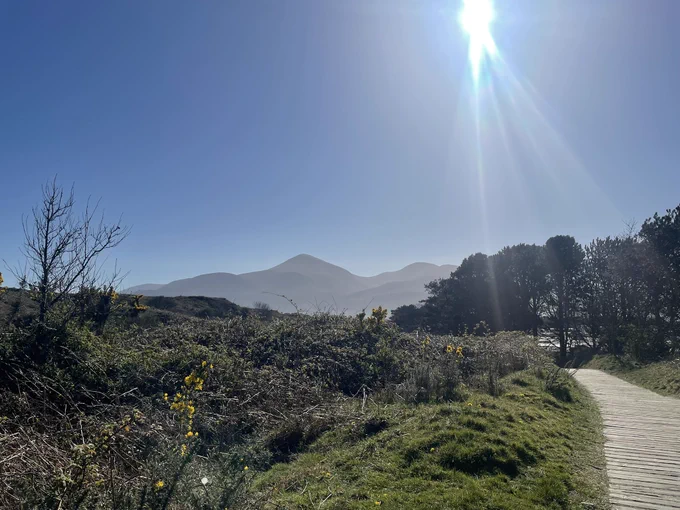 Murlough nature reserve and The mournes