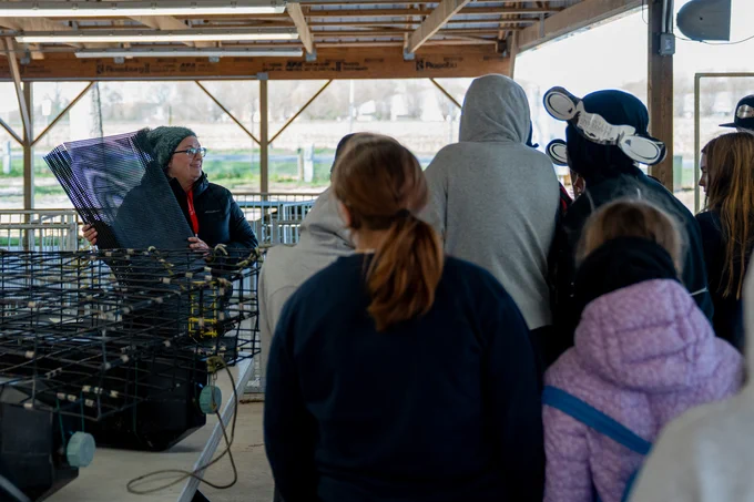 An educator holds up a mesh basket used for oyster aquaculture and talks to a group of middle school students