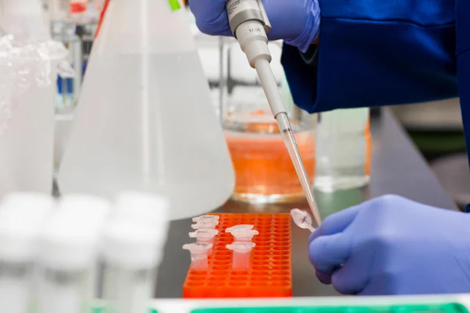 Image: Pexels; Person in a lab using a pipette to pipe liquid into a small test tube.