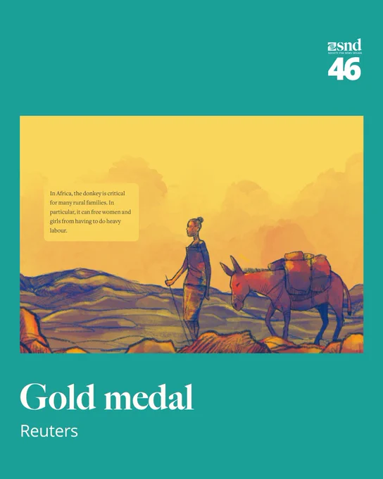 Stylized illustration by Reuters of a woman walking alongside a loaded donkey across a rural African landscape with golden hues. Text box notes how donkeys are vital for rural families, particularly in reducing labor for women and girls. Recognized with a gold medal at SND46.