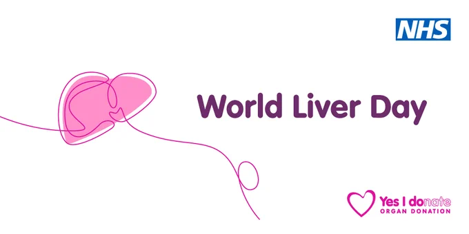 A graphic showing the outline of a liver in pink, with the heading World Liver Day.