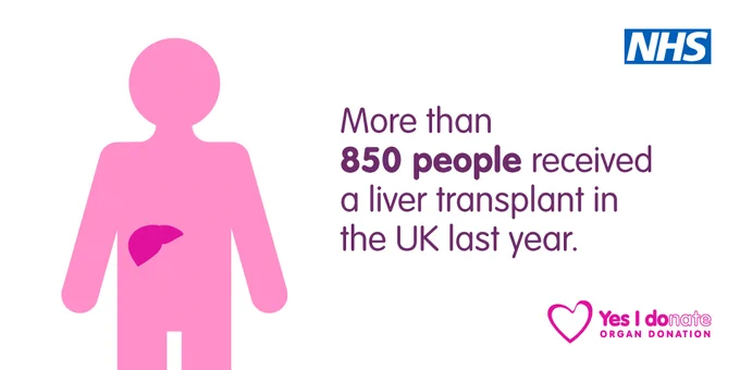 The outline of a human being, with the location of the liver marked on. The text reads More than 850 people received a liver transplant in the UK last year.