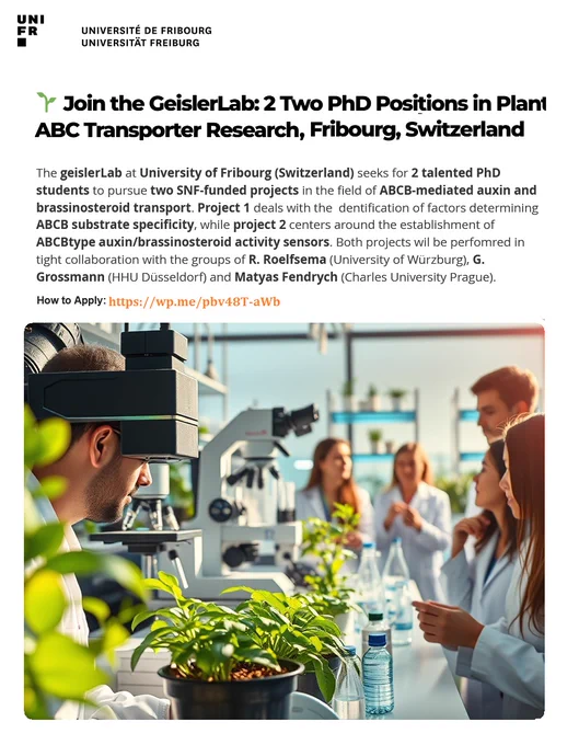 Two PhD Positions in Plant ABC Transporter Research