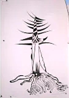 'Trees,& without them our wilderness, we as a species are lost' J.Muir