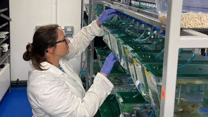 A photo of Dr Emma Kenyon in a lab. Dr Kenyon is wearing glasses and a white coat.