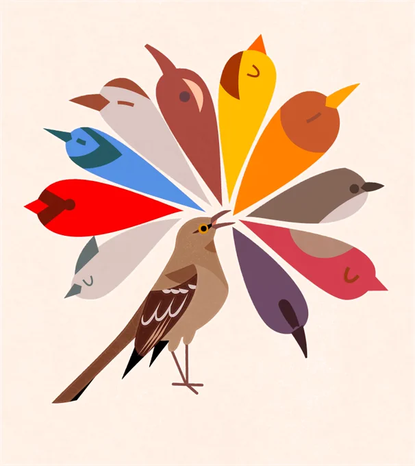 Flat illustration of a Northern Mockingbird singing in an upright position- semi-abstract bubble/balloon birds spring forth in the colorful shapes of many birds including a Blue Jay, Goldfinch, Robin, and Eastern Phoebe. 