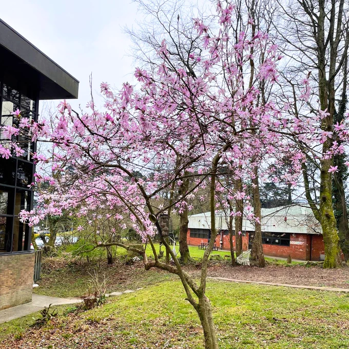 Office Space Plymouth, Sustainability at Work, Serviced Office Plymouth, Wildlife, Spring, Venaspace Plymouth