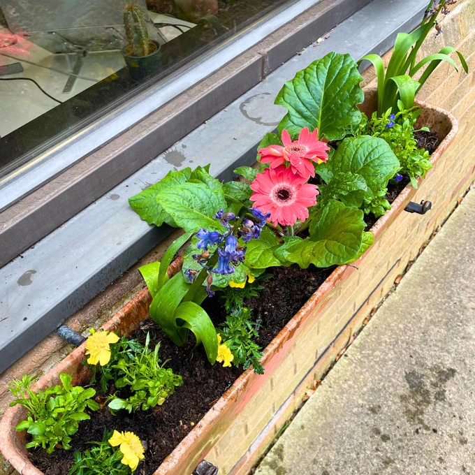 Office Space Plymouth, Sustainability at Work, Serviced Office Plymouth, Wildlife, Spring, Venaspace Plymouth