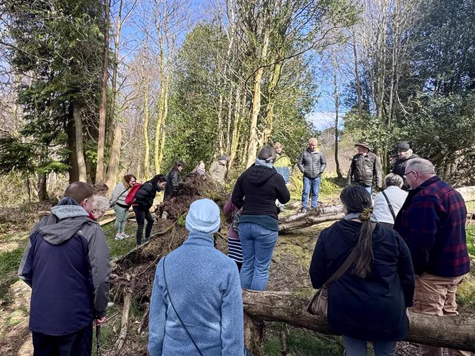 Participants of the workshop gather in a wooded area, with felled trees, to explore the Auchnacraig stones. 