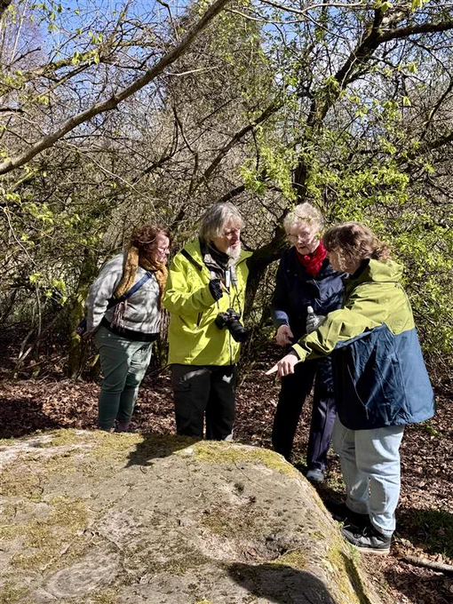 Four people discuss the rock art found on the stones at Auchnacraig woodland park during the fieldtrip. They are standing behind a large stone and amongst trees in the woods. 