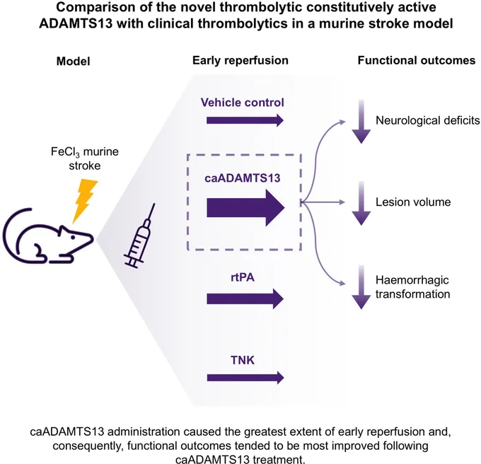 Graphic abstract in Roberts et al.
