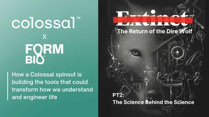 The Return of the Dire Wolf | The Science Behind the Science