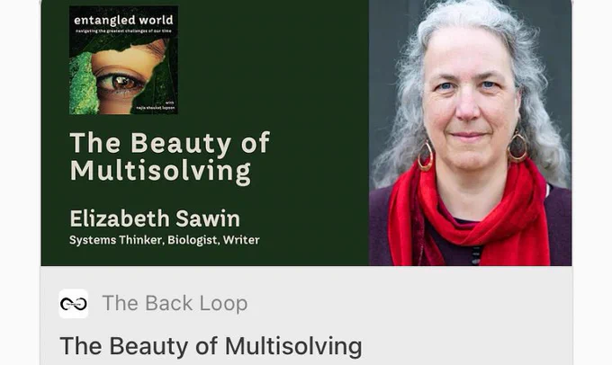 The Beauty of Multisolving.