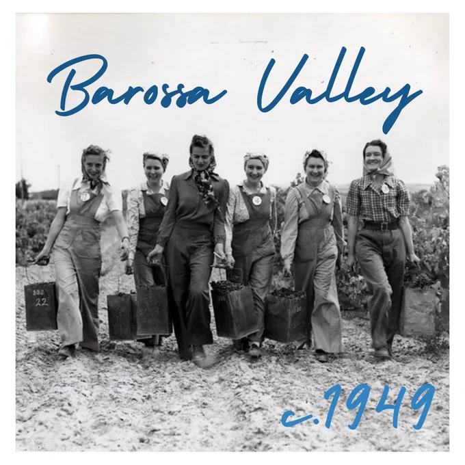Image of six women walking through the vines in headscarves and dungarees with buckets in their hands in 1949. 