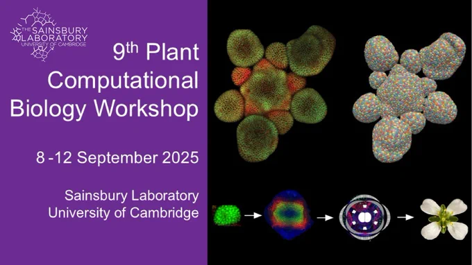 Promotional poster with microscopy and computational images of arabidopsis floral meristem. 9th Annual Computational Biology Workshop
8-12 September, 2025
Sainsbury Laboratory, Cambridge