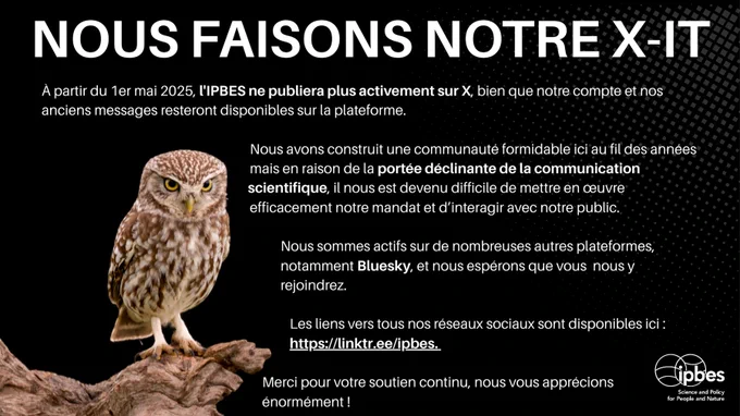 Image d'annonce sur fond noir avec une chouette brune aux yeux jaunes perchée sur une branche. Le titre "NOUS FAISONS NOTRE X-IT" domine l'image. Le texte explique qu'à partir du 1er mai 2025, l'IPBES ne publiera plus activement sur X, tout en maintenant l'accès à leur compte et messages existants. L'image mentionne leur présence continue sur Bluesky et d'autres plateformes, avec un lien vers leurs réseaux sociaux (linktr.ee/ipbes). Le logo IPBES apparaît dans le coin inférieur droit. L'image combine un style professionnel avec l'élément naturel de la chouette pour communiquer ce changement de plateforme.

