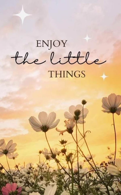 #positivemindset #PositiveThinking 

#PositiveVibes #positivemind #positivity #positiveaffirmations #positiveenergy #motivation #motivationalquotes  #selfcare #healing #selflove #selfdevelopment #selfhealing #Inspiration #inspirationalquotes #lifequotes #lifecoach #lifeadvice #quotes #quotestagram #quoteoftheday #quotesaboutlife

