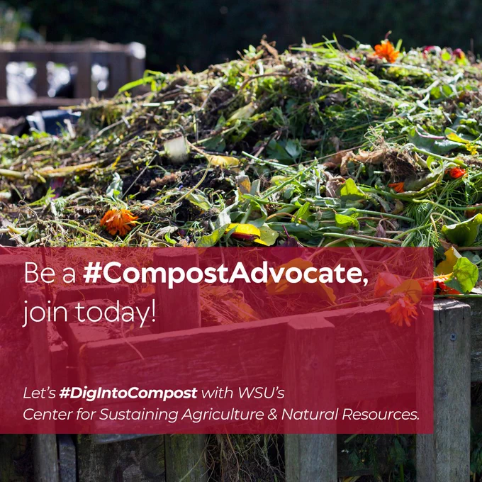 a compost bin with green materials, with a red color block in front and the  words "be a compost advocate, join us today! let's dig into compost with WSU's center for sustaining agriculture and natural resources"
