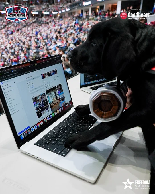 Maxy typing on a laptop