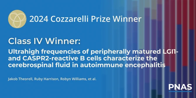 ALT/Caption: 2024 Cozzarelli Prize Winner. Class II Winner: “Ultrahigh frequencies of peripherally matured LGI1- and CASPR2-reactive B cells characterize the cerebrospinal fluid in autoimmune encephalitis” 

Authors: Jakob Theorell, Ruby Harrison, Robyn Williams, et al.