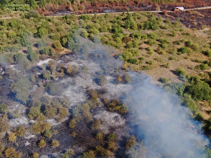 Smoke coming from an area of grassland and trees