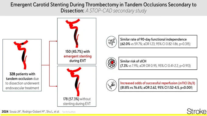 Graphic abstract in Sousa and Rodrigo-Gisbert et al.